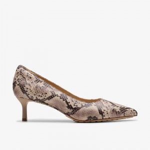 Grey Snake Leather Clarks Adela Court | CLKS-85197